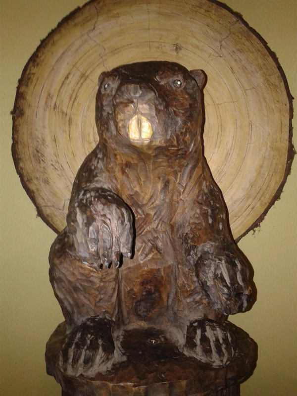 Poli foglarovskou fotografii - Jan Trojan - Roy