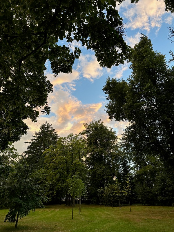 Poli foglarovskou fotografii - Jan Gajduek